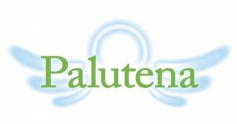åȥС Palutena(ѥƥ)