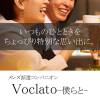 󥺥ѥ˥ ɸѥ˥ Voclato-ͤ-