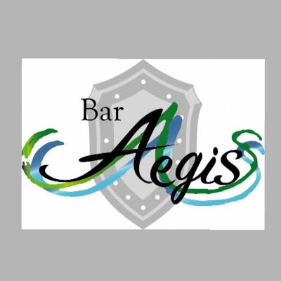 新潟駅前飲食・ショットバー Bar Aegis 