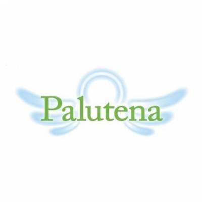 ܻϩåȥС Palutena