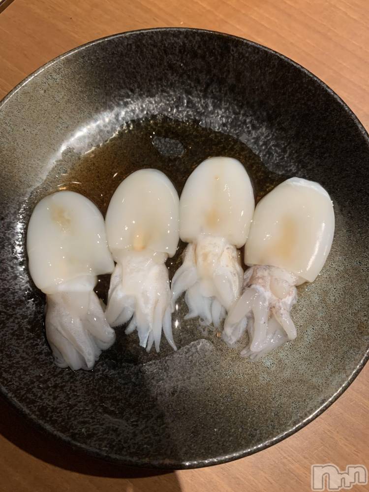 ��Į�ۥ��ȡ��ܡ������С�A151(�����������ݥ���) ������ä�11��13���̥�֥����ֲİ����ҡ�