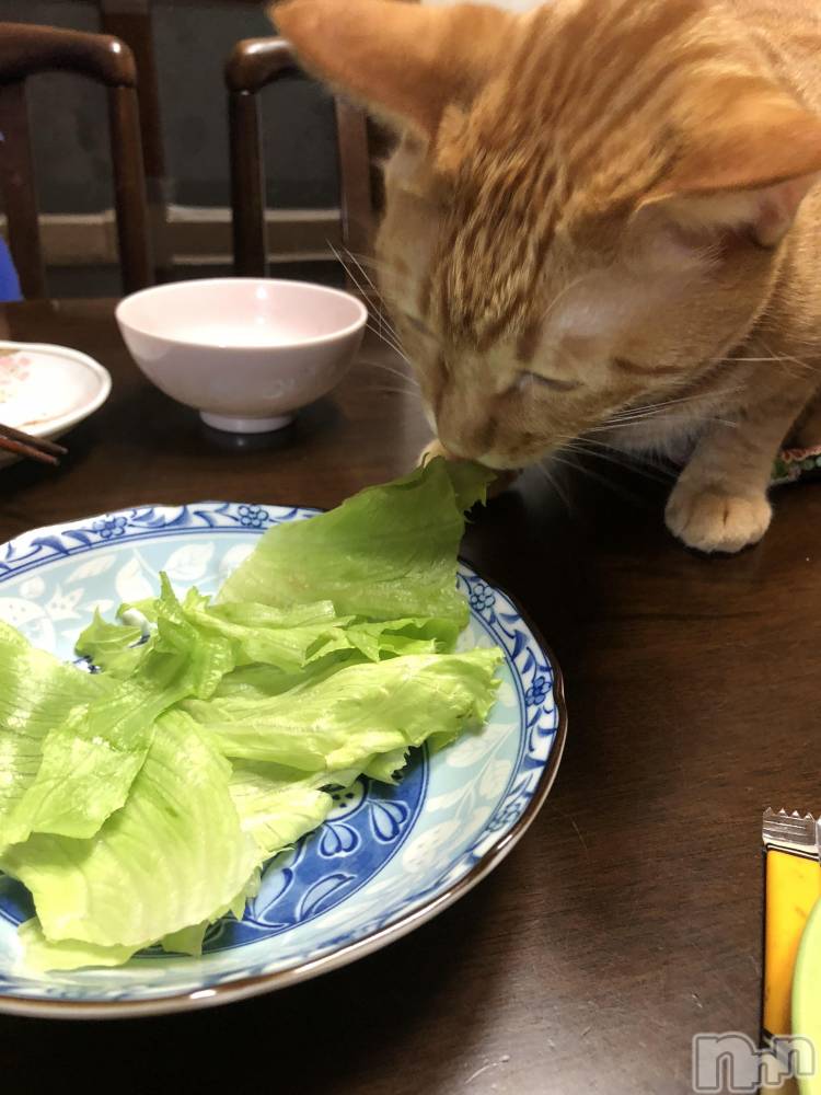 ��Į�ۥ��ȡ��ܡ������С�A151(�����������ݥ���) ������ä�11��24���̥�֥����֥������åȡ�