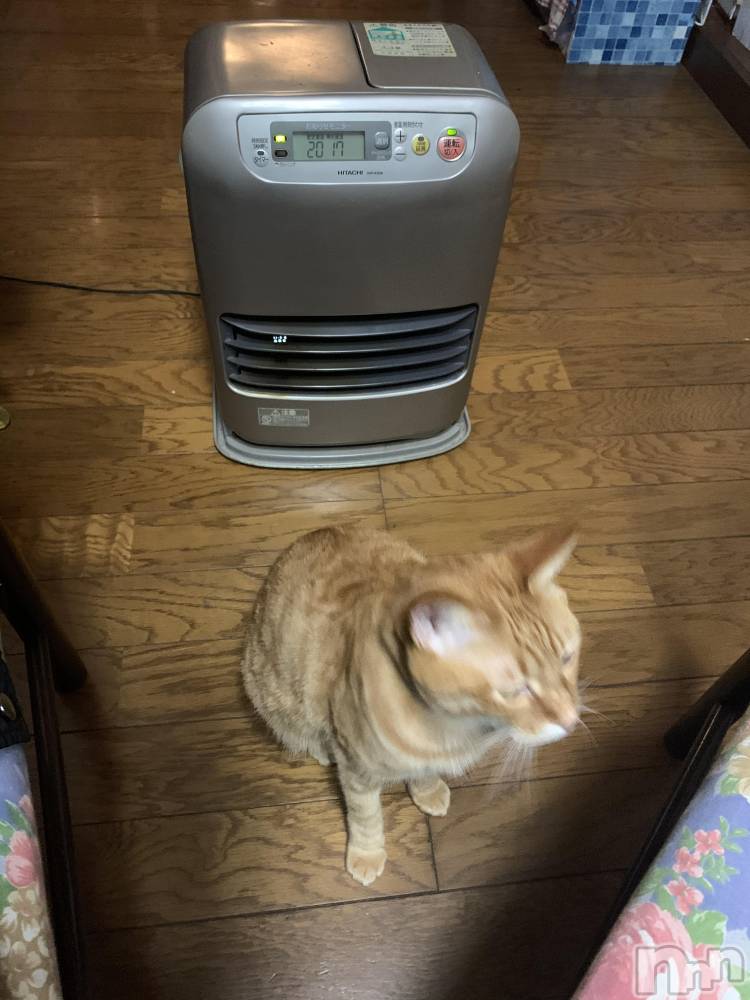 ��Į�ۥ��ȡ��ܡ������С�A151(�����������ݥ���) ������ä�12��20���̥�֥������㡹�ݤ������