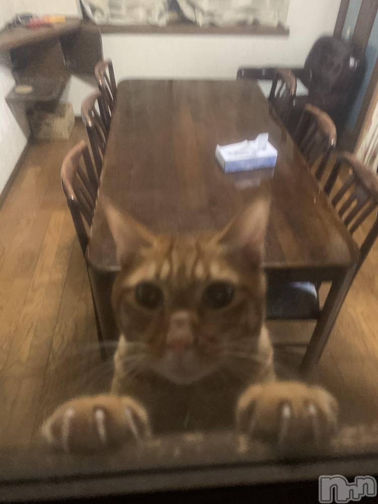 ��Į�ۥ��ȡ��ܡ������С�A151(�����������ݥ���) ������ä�12��22���̥�֥����֤���ˤ��ϡ�