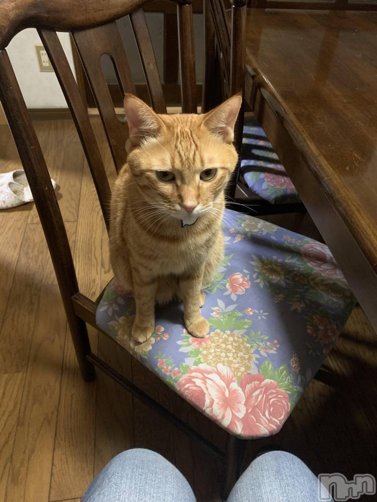 ��Į�ۥ��ȡ��ܡ������С�A151(�����������ݥ���) ������ä�12��23���̥�֥����֥��ꥹ�ޥ����٥��(����)��