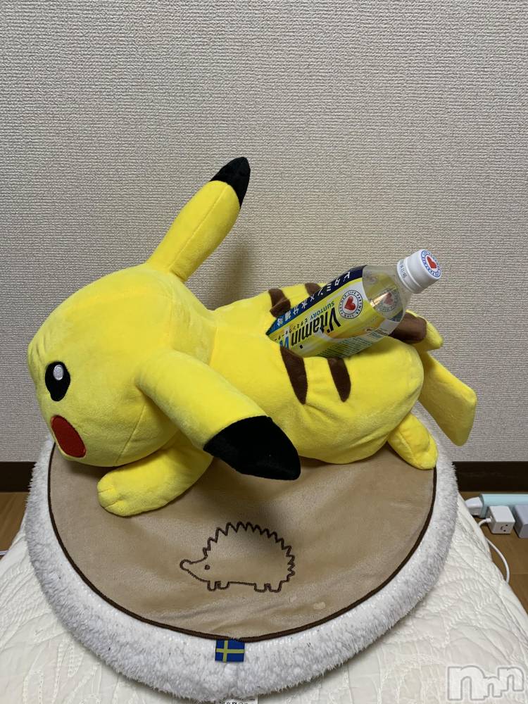 ��Į�ۥ��ȡ��ܡ������С�A151(�����������ݥ���) ������ä�1��21���̥�֥����ֺǶ��