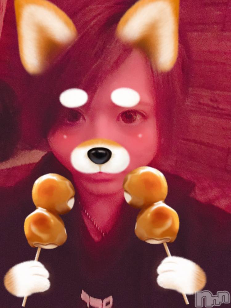 ��Į�ۥ��ȡ��ܡ������С�A151(�����������ݥ���) ������ä�2��5���̥�֥����֡���