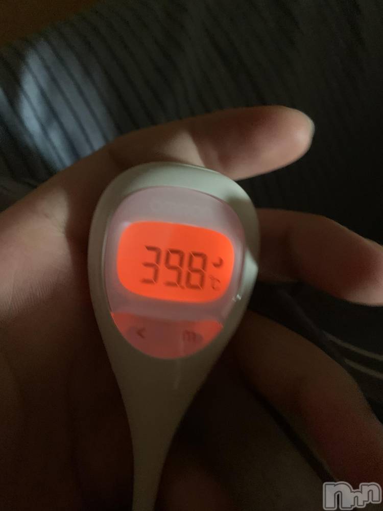 ��Į�ۥ��ȡ��ܡ������С�A151(�����������ݥ���) ������ä�7��25���̥�֥����֥����ʥ說����2���ܡ�