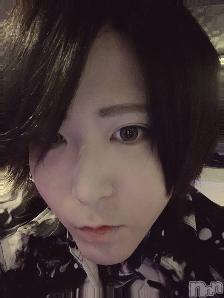 ��Į�ۥ��ȡ��ܡ������С�A151(�����������ݥ���) ������ä�8��4���̥�֥����֤��硼�����ס��Ρ�