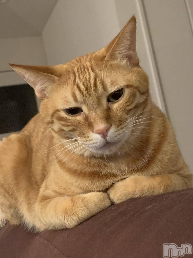 ��Į�ۥ��ȡ��ܡ������С�A151(�����������ݥ���) ������ä�12��29���̥�֥����֤ȤƤĤ�ʤ���