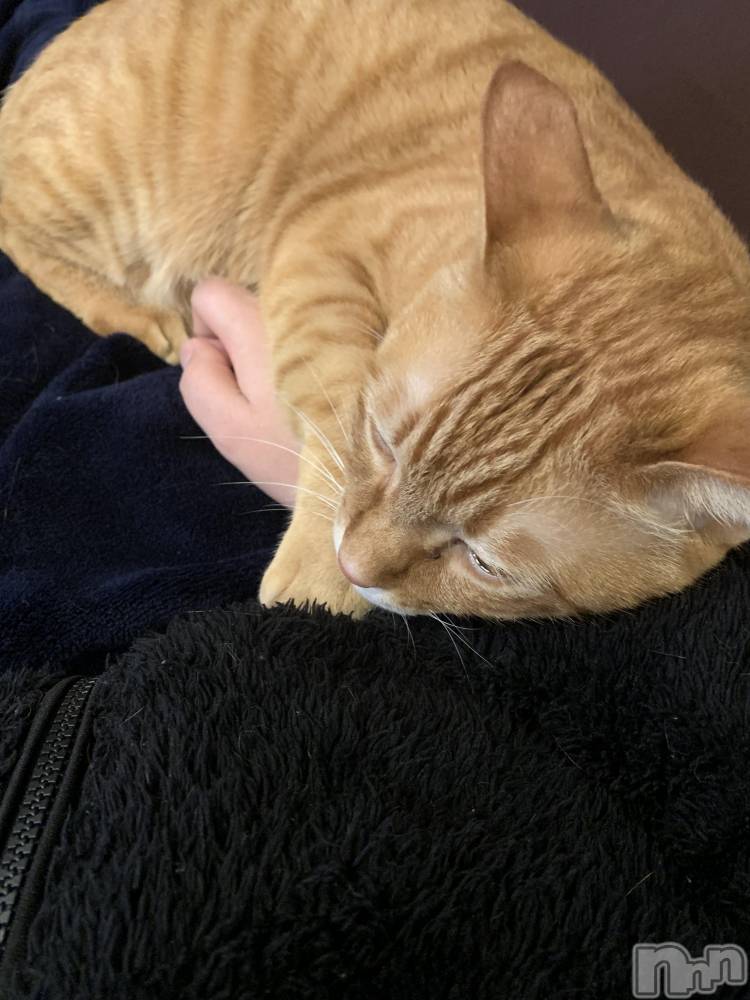 ��Į�ۥ��ȡ��ܡ������С�A151(�����������ݥ���) ������ä�12��30���̥�֥����֤ޤ�ǭ��