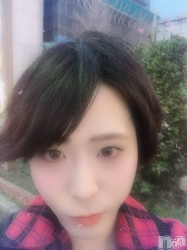 ��Į�ۥ��ȡ��ܡ������С�A151(�����������ݥ���) ������ä�3��24���̥�֥����ֶ�����