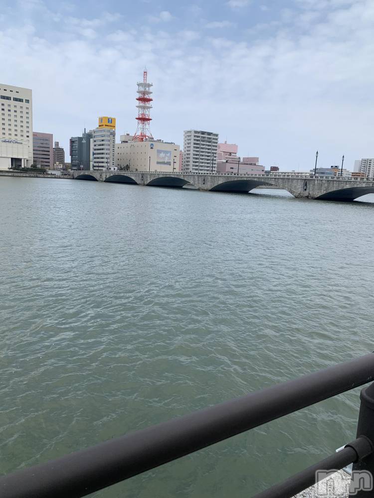 ��Į�ۥ��ȡ��ܡ������С�A151(�����������ݥ���) ������ä�4��6���̥�֥���������ǡ��ȡ�