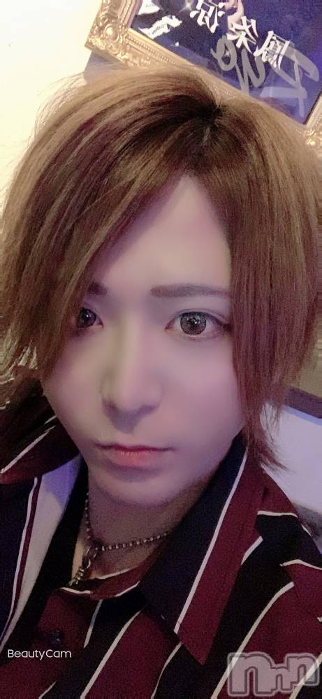 ��Į�ۥ��ȡ��ܡ������С�A151(�����������ݥ���) ������ä�9��20���̥�֥�������¸��ǧ��