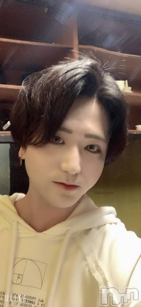 ��Į�ۥ��ȡ��ܡ������С�A151(�����������ݥ���) ������ä�12��8���̥�֥����֥С����ǡ���������