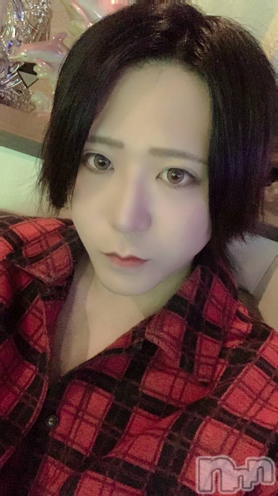 ��Į�ۥ��ȡ��ܡ������С�A151(�����������ݥ���) ������ä�3��31���̥�֥����֥������塼��