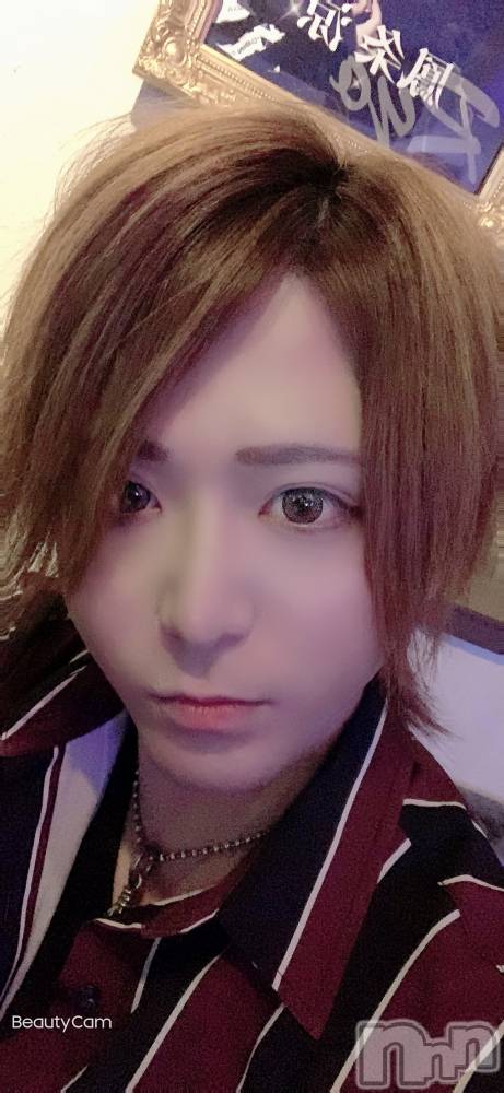 ��Į�ۥ��ȡ��ܡ������С�A151(�����������ݥ���) ������ä�4��15���̥�֥�����2���դ��