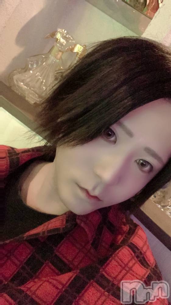 ��Į�ۥ��ȡ��ܡ������С�A151(�����������ݥ���) ������ä�4��19���̥�֥������̡�