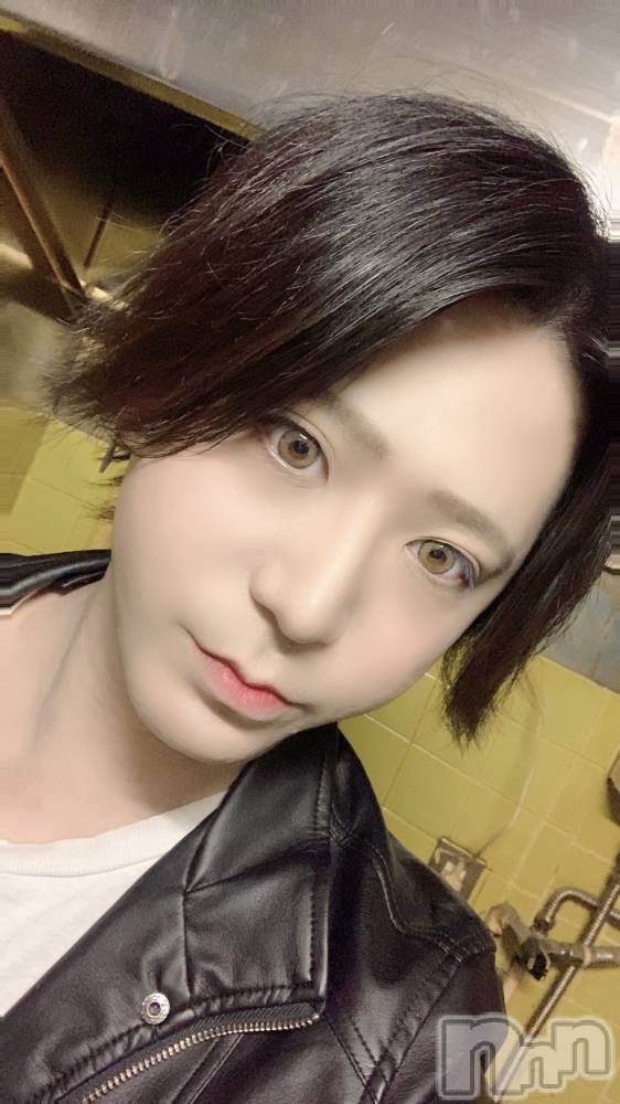 ��Į�ۥ��ȡ��ܡ������С�A151(�����������ݥ���) ������ä�4��22���̥�֥�����������