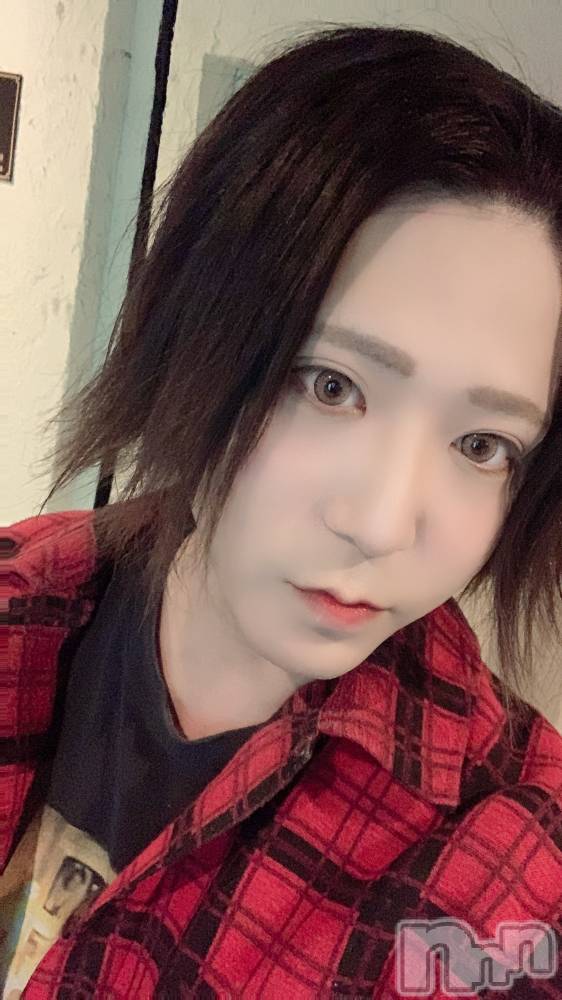 ��Į�ۥ��ȡ��ܡ������С�A151(�����������ݥ���) ������ä�5��6���̥�֥�������������