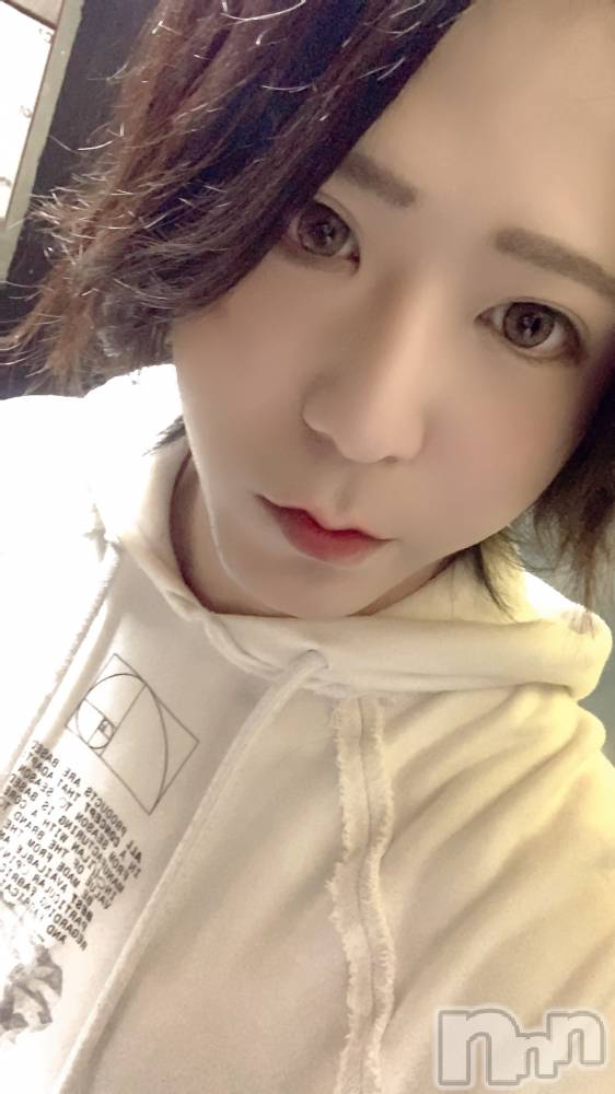 ��Į�ۥ��ȡ��ܡ������С�A151(�����������ݥ���) ������ä�5��8���̥�֥����ֺ�����������