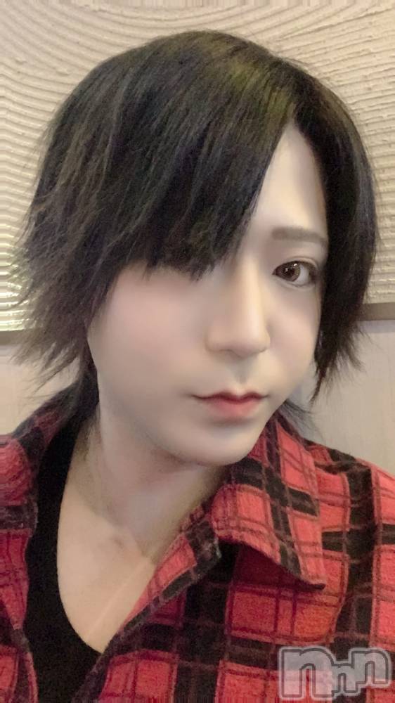 ��Į�ۥ��ȡ��ܡ������С�A151(�����������ݥ���) ������ä�5��17���̥�֥������������22����