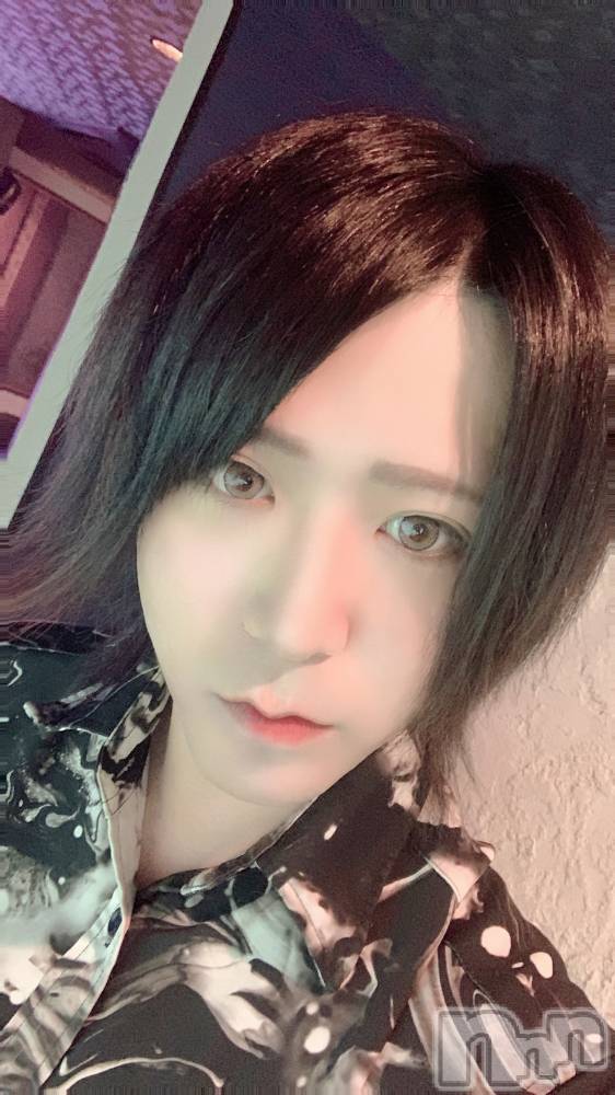 ��Į�ۥ��ȡ��ܡ������С�A151(�����������ݥ���) ������ä�6��16���̥�֥����ִ��������