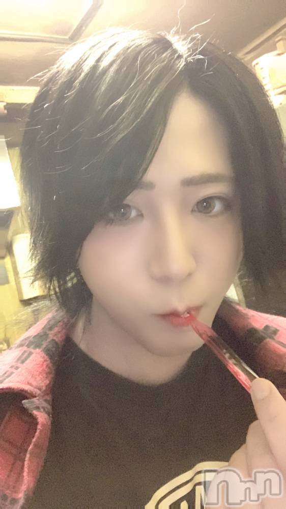 ��Į�ۥ��ȡ��ܡ������С�A151(�����������ݥ���) ������ä�7��8���̥�֥�����������������