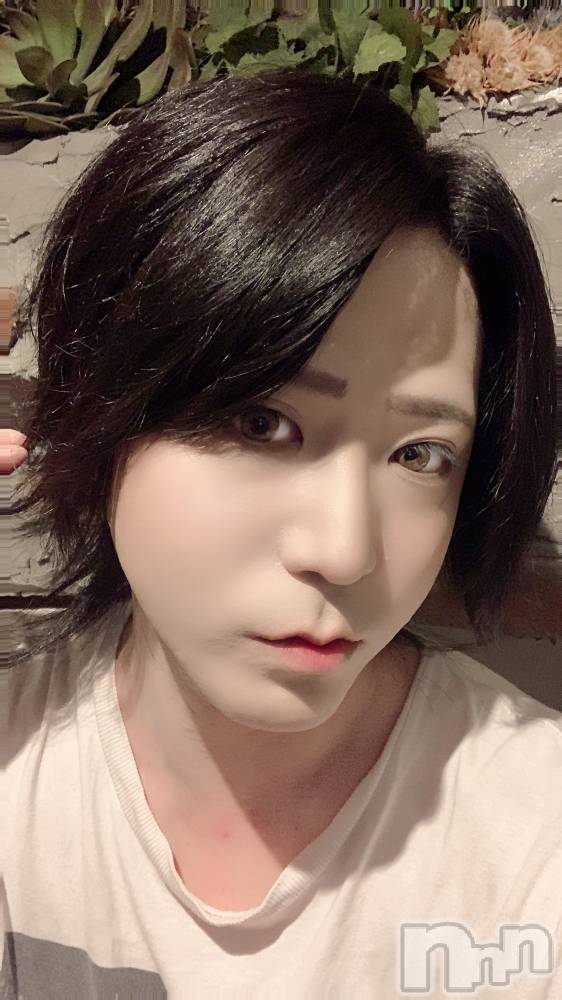 ��Į�ۥ��ȡ��ܡ������С�A151(�����������ݥ���) ������ä�7��10���̥�֥����ֽ����