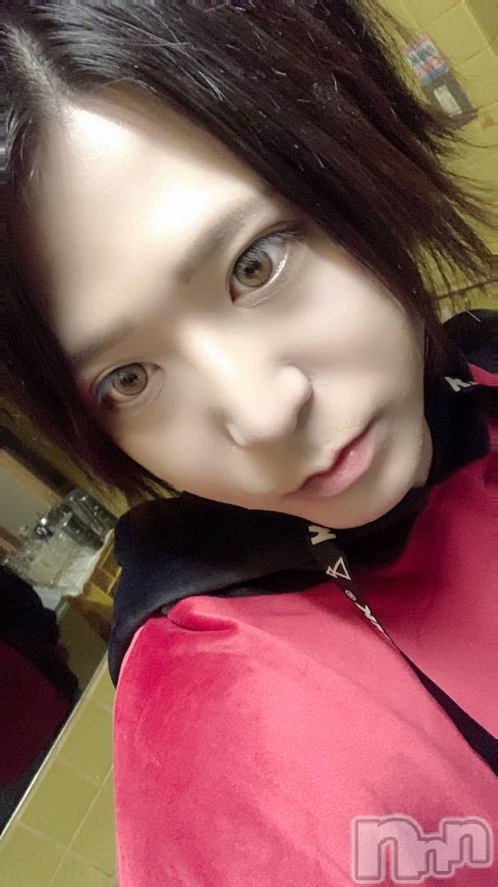 ��Į�ۥ��ȡ��ܡ������С�A151(�����������ݥ���) ������ä�7��12���̥�֥����֤Ϥ���ޤ��ơ�