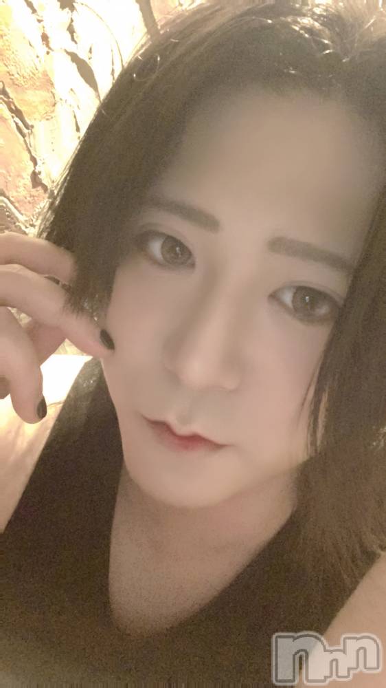 ��Į�ۥ��ȡ��ܡ������С�A151(�����������ݥ���) ������ä�8��18���̥�֥����ֺǶᡪ��