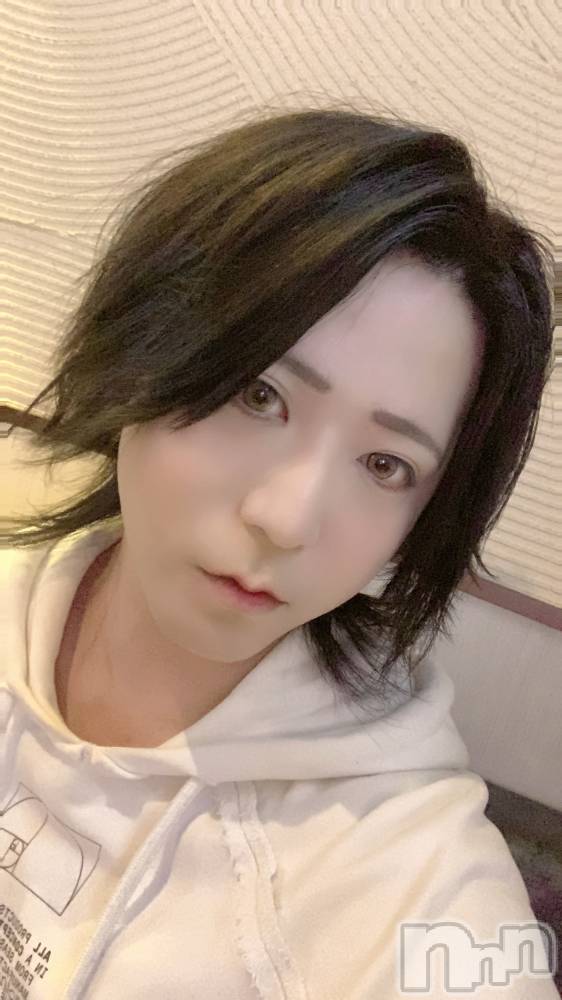 ��Į�ۥ��ȡ��ܡ������С�A151(�����������ݥ���) ������ä�8��31���̥�֥����֤���������