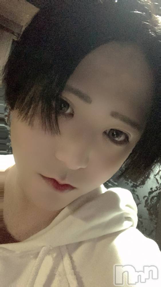 ��Į�ۥ��ȡ��ܡ������С�A151(�����������ݥ���) ������ä�10��12���̥�֥����֤�����