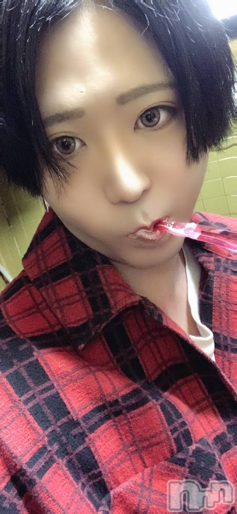 ��Į�ۥ��ȡ��ܡ������С�A151(�����������ݥ���) ������ä�10��19���̥�֥����֤��褦��