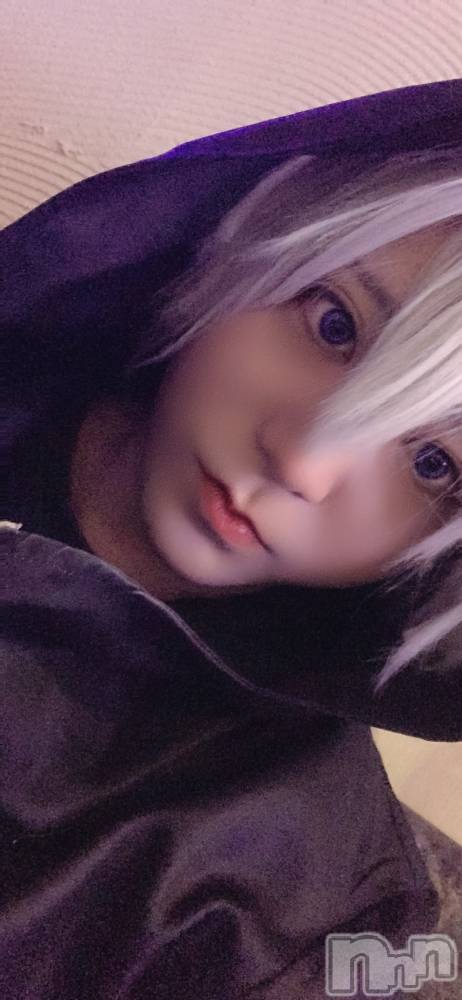 ��Į�ۥ��ȡ��ܡ������С�A151(�����������ݥ���) ������ä�11��5���̥�֥����֤��������С�