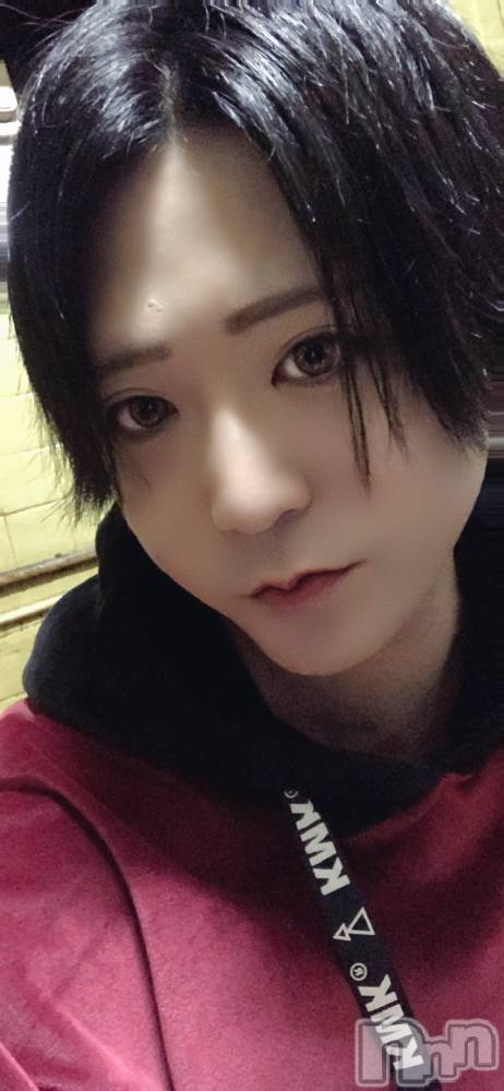 ��Į�ۥ��ȡ��ܡ������С�A151(�����������ݥ���) ������ä�11��10���̥�֥����֤���