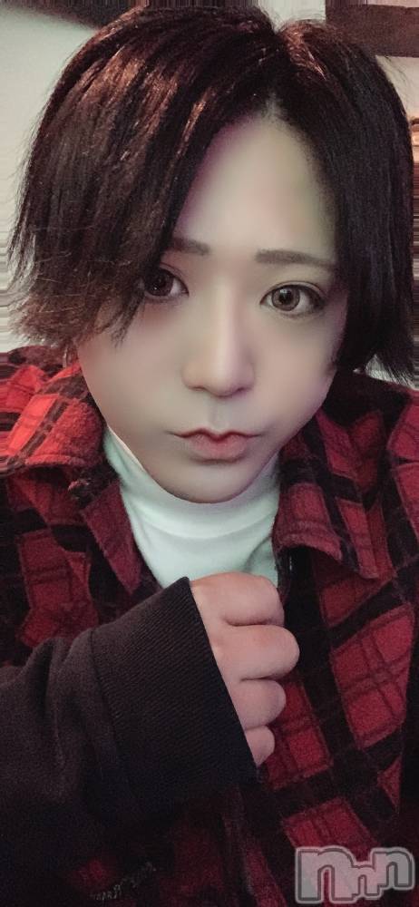 ��Į�ۥ��ȡ��ܡ������С�A151(�����������ݥ���) ������ä�11��16���̥�֥���������