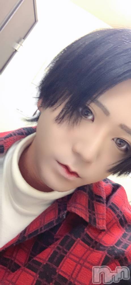 ��Į�ۥ��ȡ��ܡ������С�A151(�����������ݥ���) ������ä�11��29���̥�֥������ͤΥ��ꥷ����