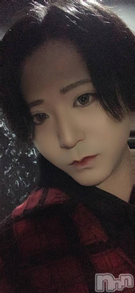 ��Į�ۥ��ȡ��ܡ������С�A151(�����������ݥ���) ������ä�12��8���̥�֥�������������