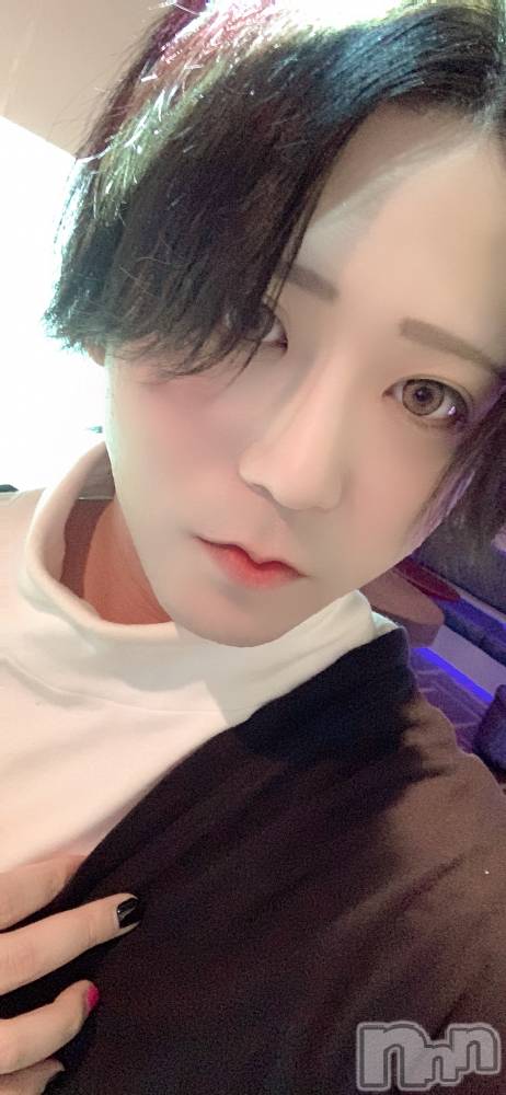 ��Į�ۥ��ȡ��ܡ������С�A151(�����������ݥ���) ������ä�12��17���̥�֥����֤椭������