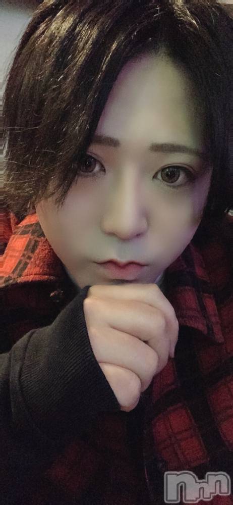 ��Į�ۥ��ȡ��ܡ������С�A151(�����������ݥ���) ������ä�3��9���̥�֥����֤��ȡ�