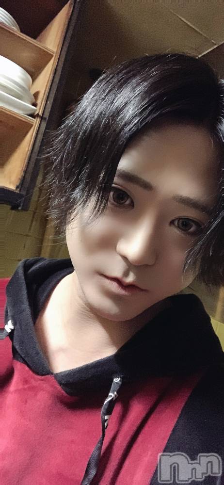 ��Į�ۥ��ȡ��ܡ������С�A151(�����������ݥ���) ������ä�3��14���̥�֥����֤����������