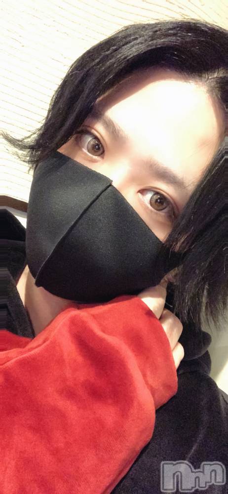 ��Į�ۥ��ȡ��ܡ������С�A151(�����������ݥ���) ������ä�4��26���̥�֥����֤�����