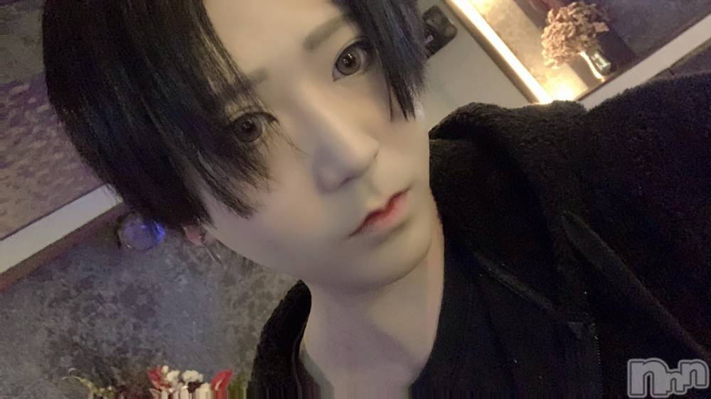 ��Į�ۥ��ȡ��ܡ������С�A151(�����������ݥ���) ������ä�5��19���̥�֥����ֺ���������������