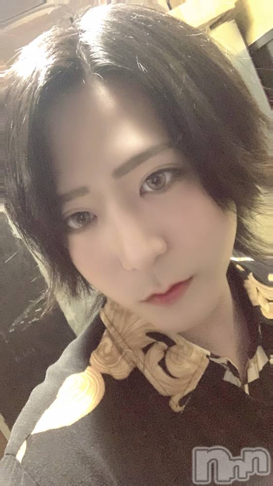 ��Į�ۥ��ȡ��ܡ������С�A151(�����������ݥ���) ������ä�6��5���̥�֥����ֽ������Ϲ���