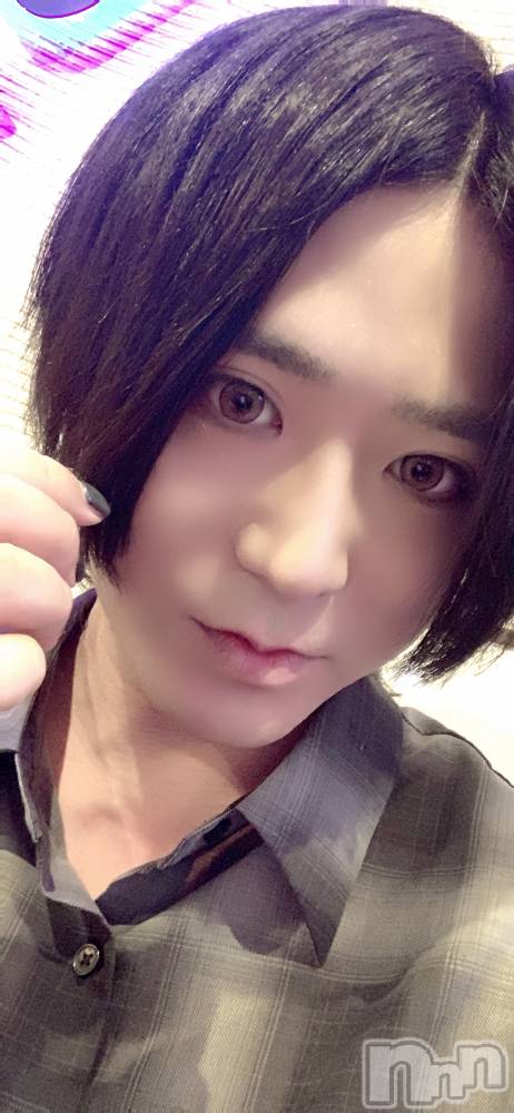 ��Į�ۥ��ȡ��ܡ������С�A151(�����������ݥ���) ������ä�6��23���̥�֥����ֺ��ۡ����������