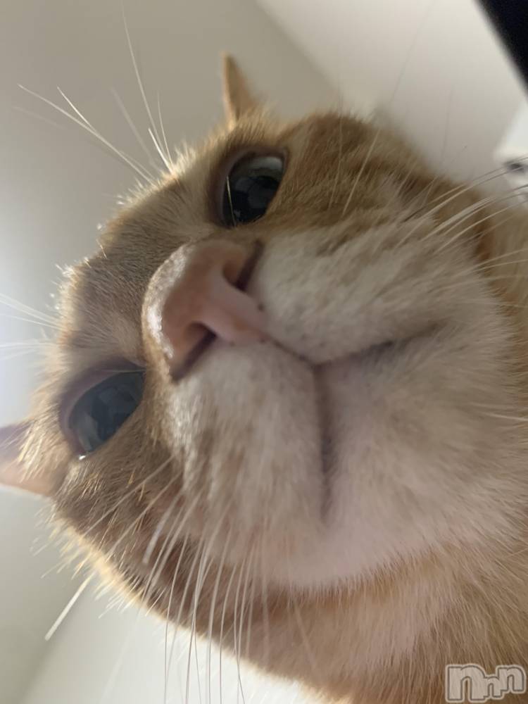 ��Į�ۥ��ȡ��ܡ������С�A151(�����������ݥ���) ������ä�6��28���̥�֥����֤��٤ߡ�