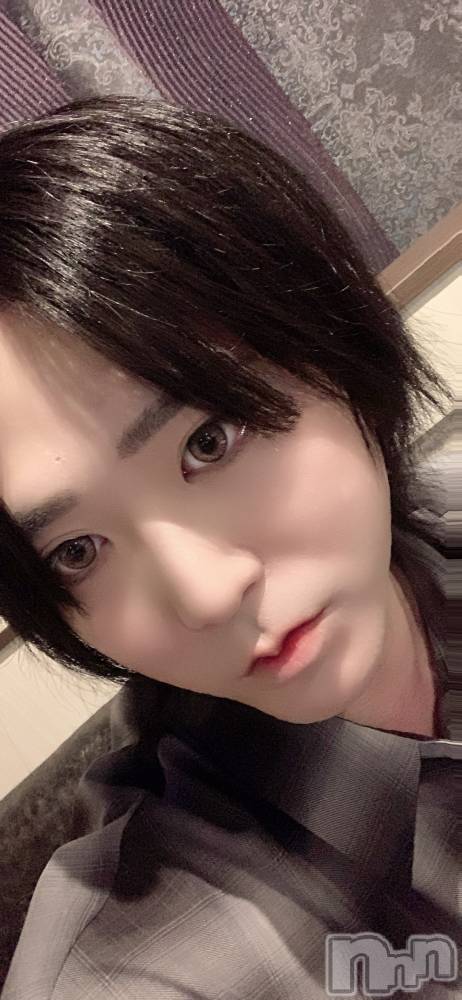 ��Į�ۥ��ȡ��ܡ������С�A151(�����������ݥ���) ������ä�7��25���̥�֥����ֿ���