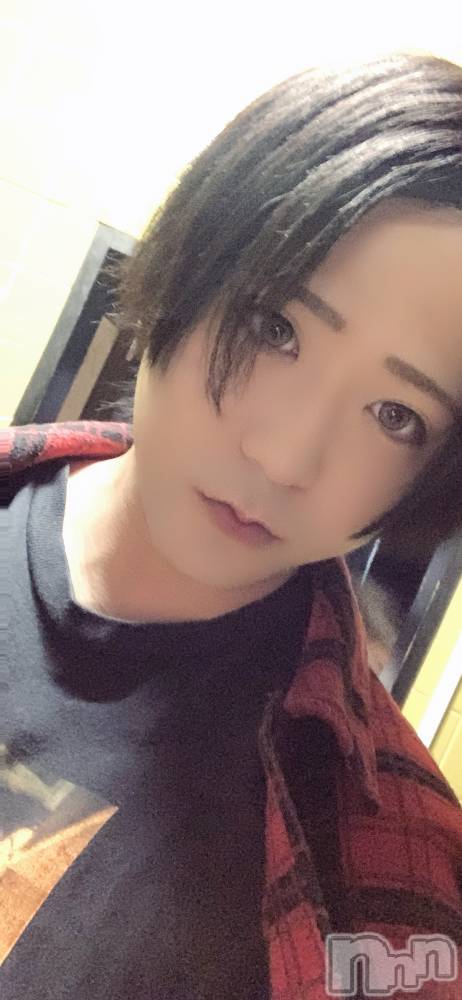 ��Į�ۥ��ȡ��ܡ������С�A151(�����������ݥ���) ������ä�8��7���̥�֥�����1011��