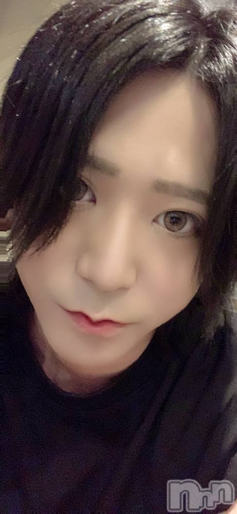 ��Į�ۥ��ȡ��ܡ������С�A151(�����������ݥ���) ������ä�12��23���̥�֥�������ʸ�˼̿���������